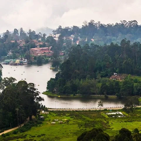 View of Kodaikanal Lake