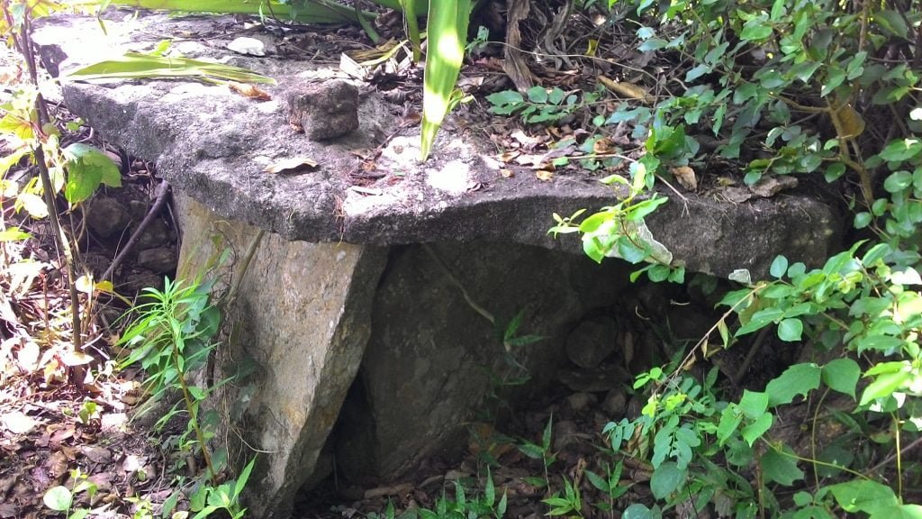 A dolmen half-hidden by foliage