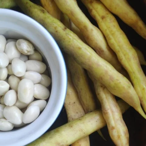 Butterbeans are a kind of lima bean