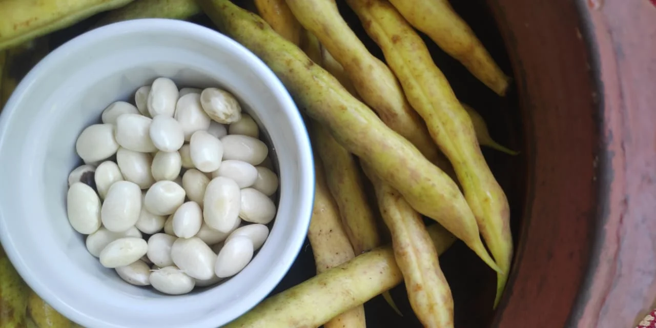 Butterbeans are a kind of lima bean