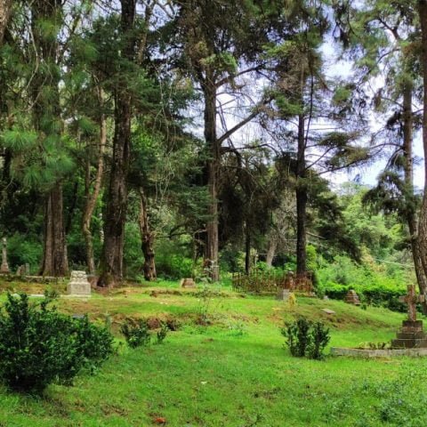The Graveyard Shift- A Love Letter to a Kodai Cemetery