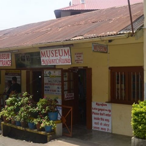 The Shenbaganur Museum of Natural History