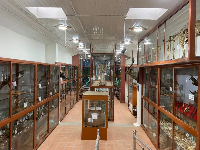 The interiors of the Shenbaganur Museum of Natural History