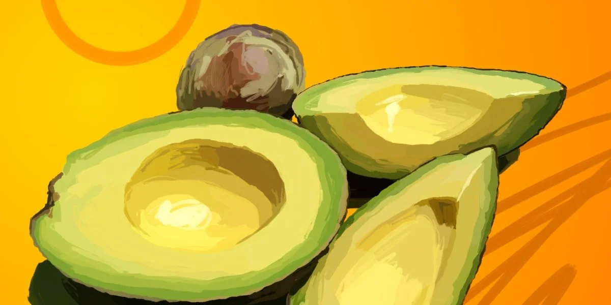 Avocado illustration