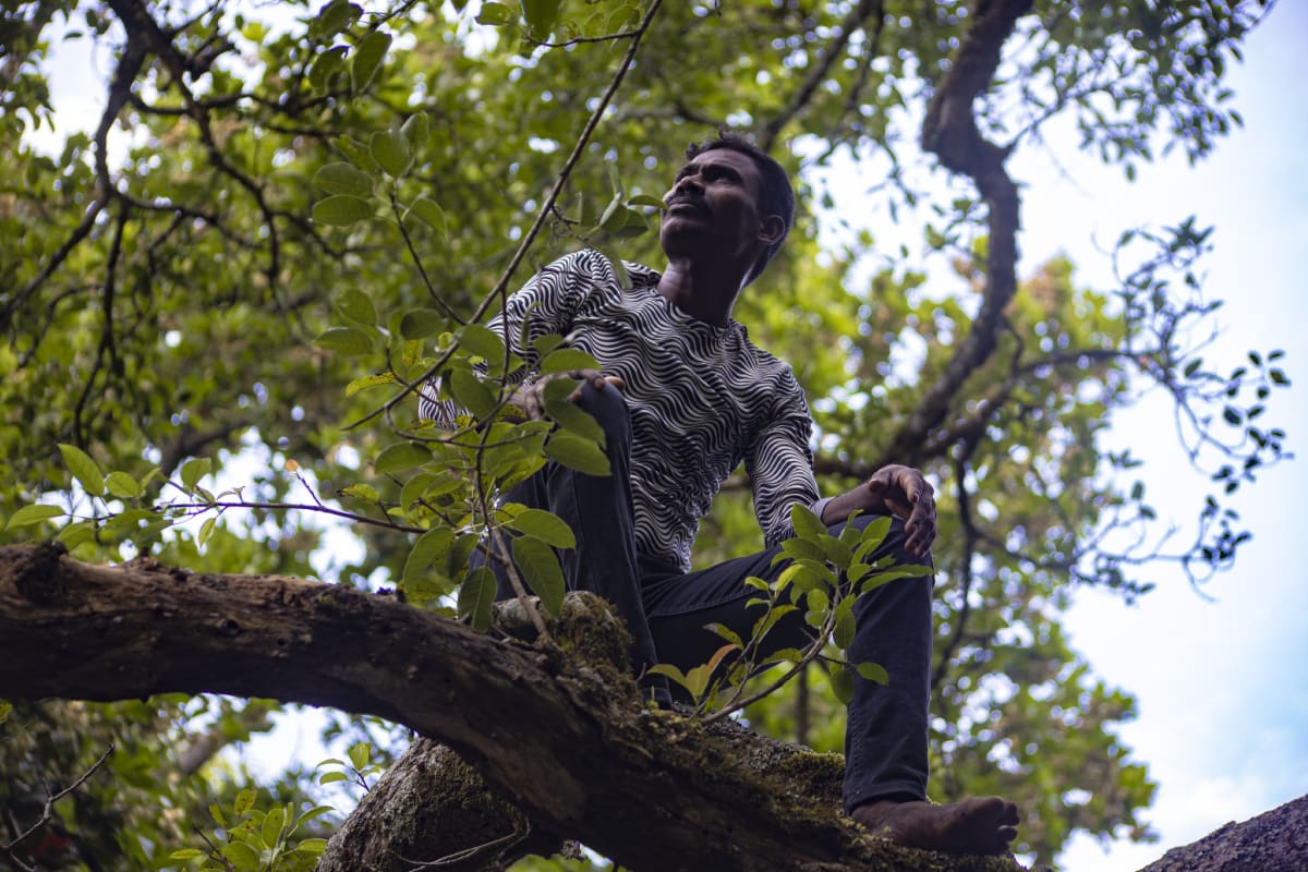 Mari, adivasi honeygatherer in the trees
