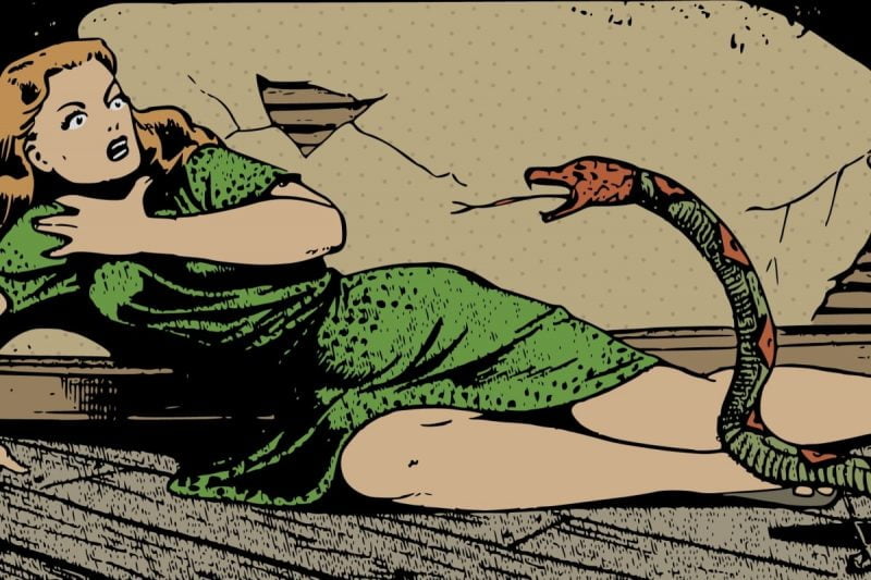 Illustrated comic of lady scared of snake