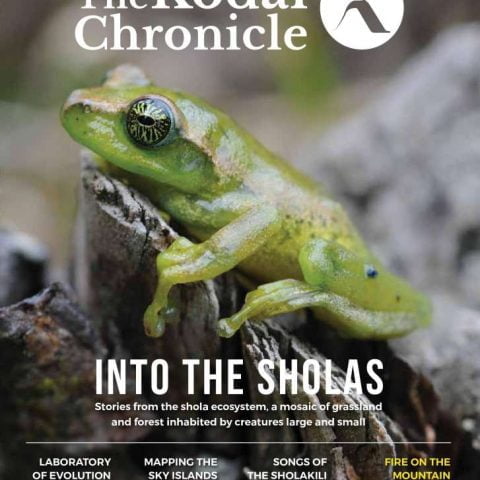 The Kodai Chronicle Cover_SEPTEMBER ISSUE-page-001